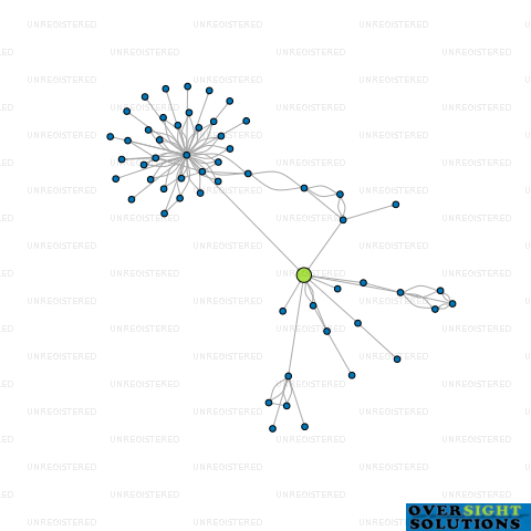 Network diagram for THE PALMS MEDICAL CENTRE LTD
