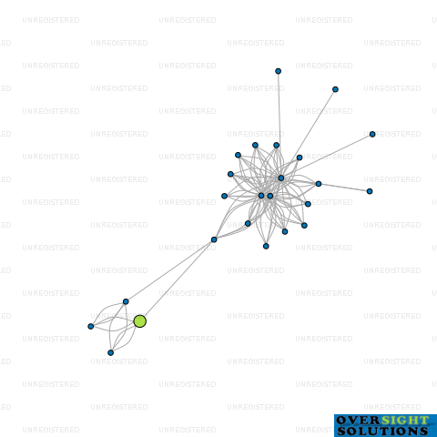 Network diagram for TRT 2019 LTD