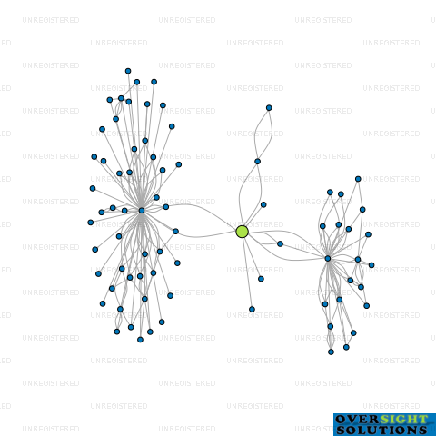 Network diagram for SENTINEL INSPECTION SERVICES LTD