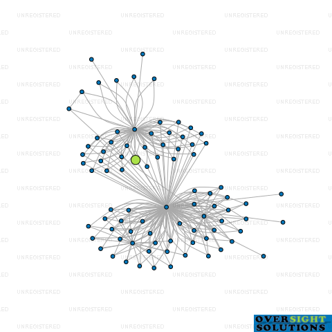 Network diagram for HGT TRUSTEE LTD