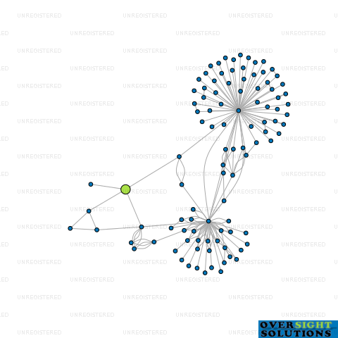 Network diagram for TURTLE PROPERTIES LTD