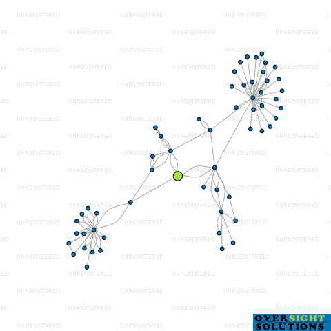 Network diagram for GLOBAL CAPITAL LTD