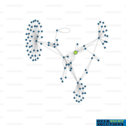 Network diagram for MORLEY CREEK LTD