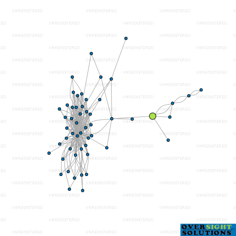 Network diagram for IES TECHNOLOGIES LTD