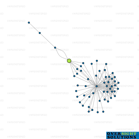 Network diagram for HS NZ HOLD CO LTD