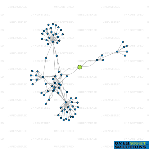 Network diagram for SUNDAY MEDIA GROUP LTD