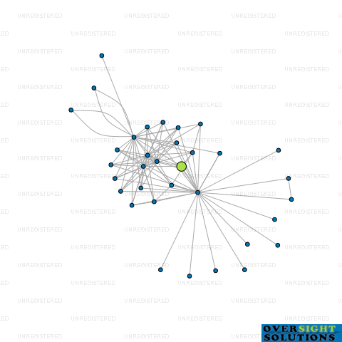 Network diagram for NEW ZEALAND DIAGNOSTIC GROUP LTD