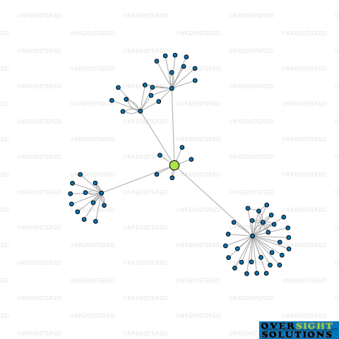 Network diagram for FOUR TOWERS INVESTMENTS LTD