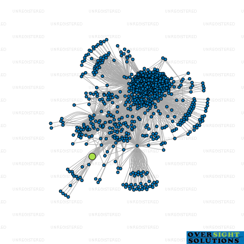 Network diagram for CHHOKAR1313 LTD