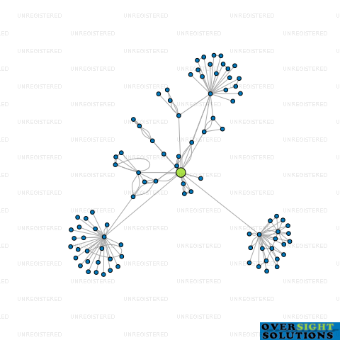 Network diagram for SDL HOLDINGS LTD