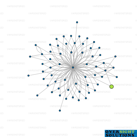Network diagram for 101 KNIGHTON LTD
