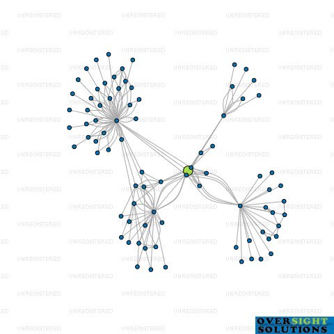 Network diagram for COMAN HOLDINGS LTD