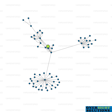 Network diagram for TRAVELWISE HOLIDAYS LTD