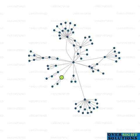 Network diagram for TURBINES LTD