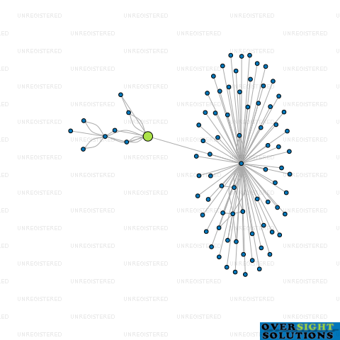 Network diagram for WIZBANG TECHNOLOGIES LTD