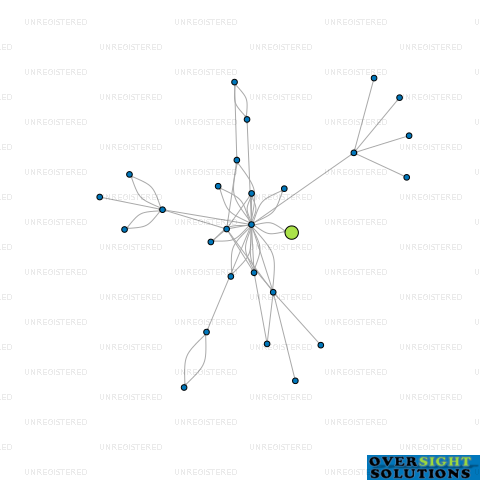 Network diagram for 21 BLAIR LTD