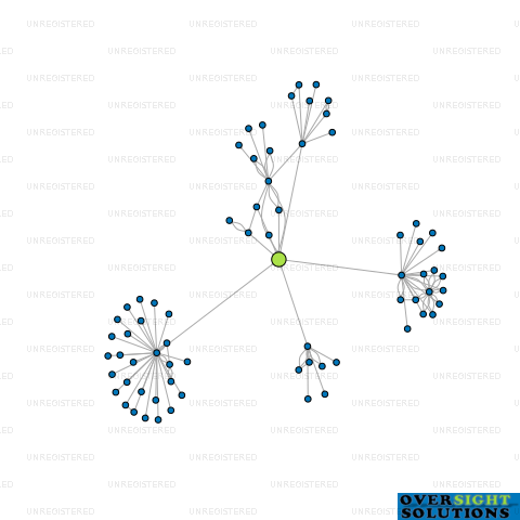 Network diagram for BAGRIE INVESTMENTS LTD