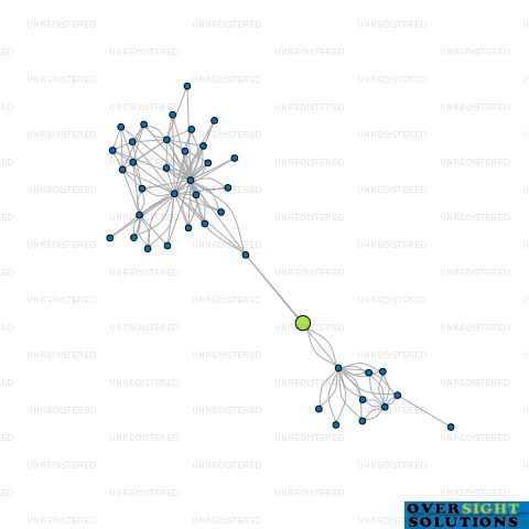 Network diagram for CASTLE MANAGEMENT AUCKLAND LTD