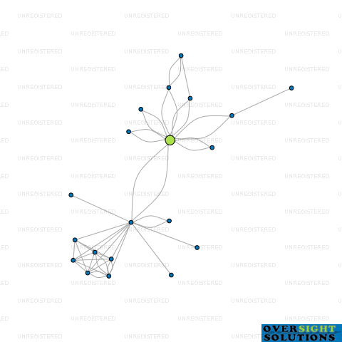 Network diagram for TSANZOSS NOMINEE LTD