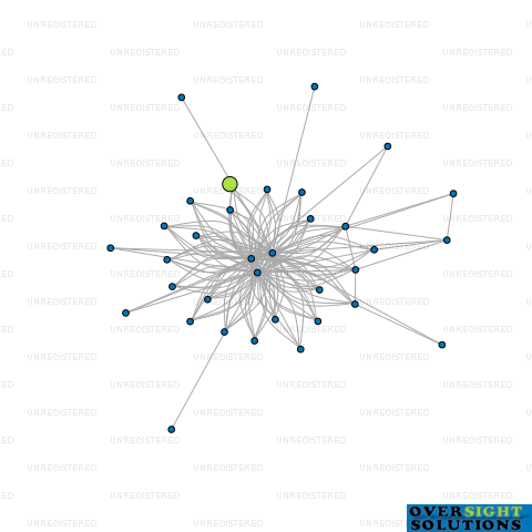 Network diagram for MOKOIA WH TRUSTEE LTD