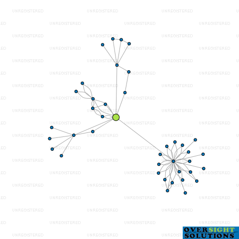 Network diagram for CONCORDANCE LTD