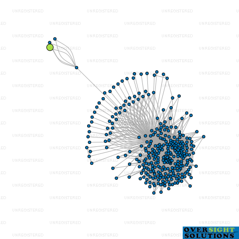 Network diagram for SETH MOTORS NZ LTD
