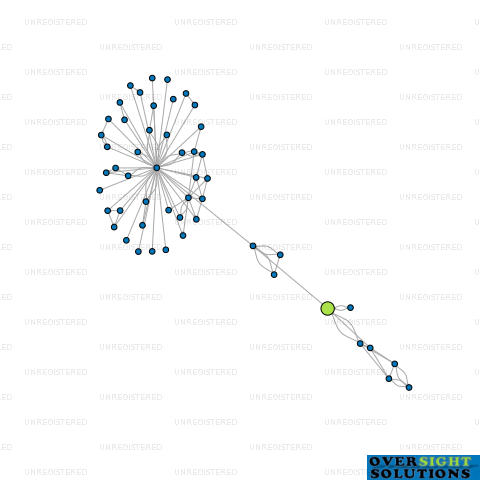 Network diagram for OMOKOROA PHARMACY 2025 LTD