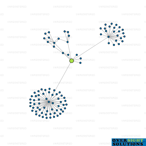 Network diagram for WLC HOLDINGS LTD