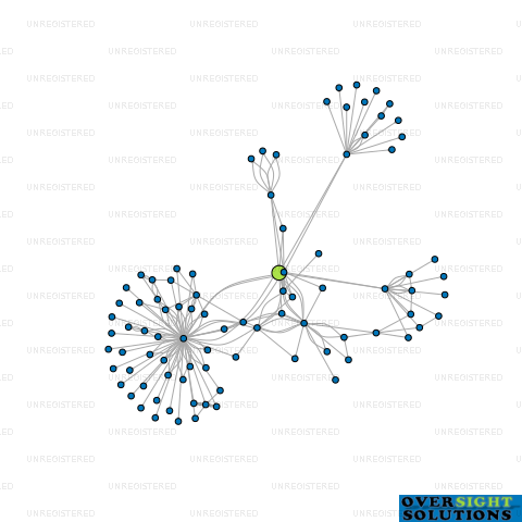 Network diagram for LYNN RIVER HOLDINGS LTD