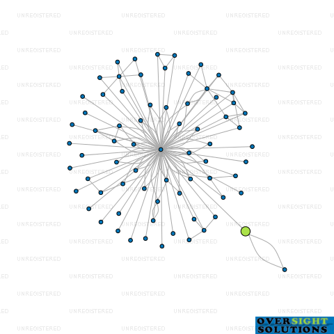 Network diagram for COCOWILL LTD