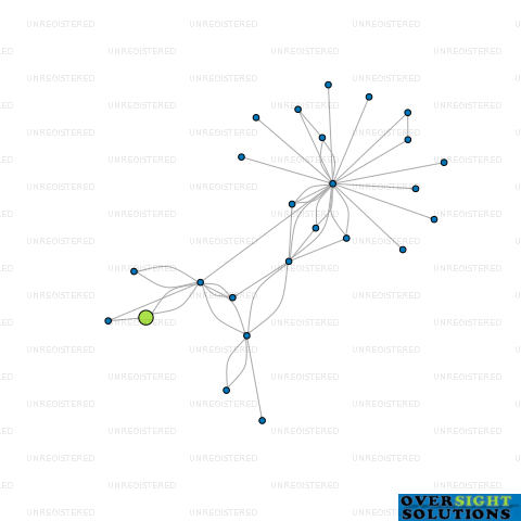 Network diagram for HERNE BAY HOLDINGS LTD