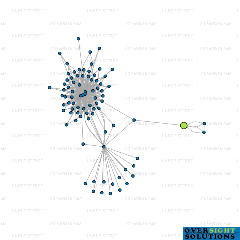 Network diagram for 41 DEGREE SOUTH LTD
