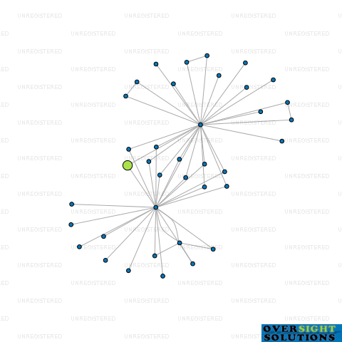 Network diagram for MONTECRISTO CONSTRUCTION COMPANY LTD