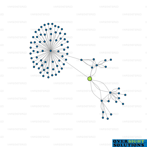 Network diagram for CONNEMARA HOLDINGS LTD