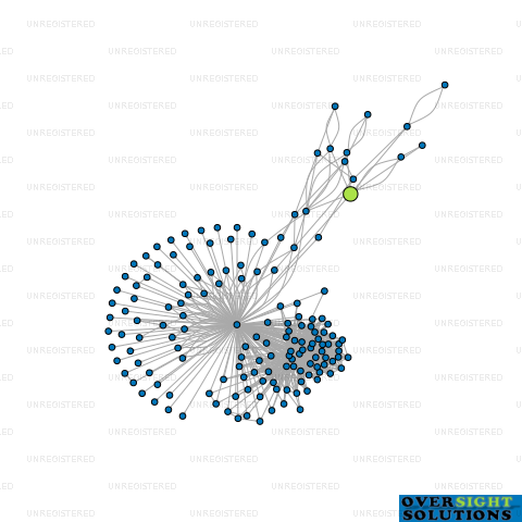 Network diagram for POINT SURVEY LTD