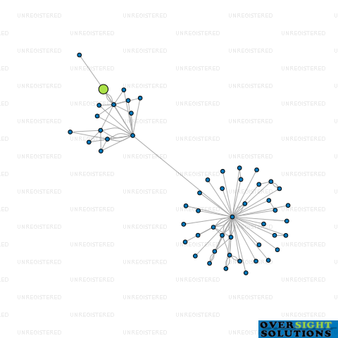 Network diagram for WILSONS BARRINGTON LTD