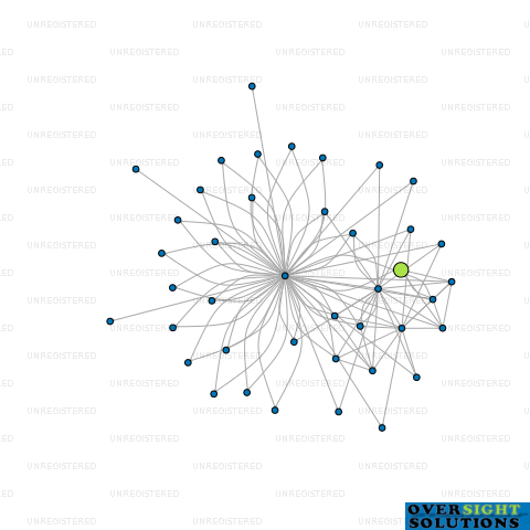 Network diagram for BIZ CHILDCARE LTD
