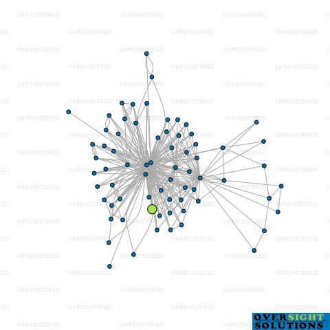 Network diagram for 21 HILLSIDE ROAD LTD