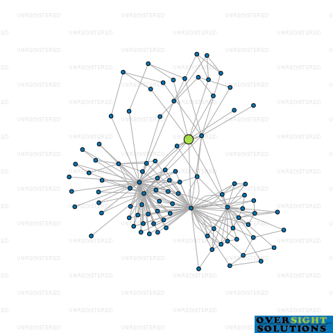 Network diagram for WMNZ HOLDINGS LTD