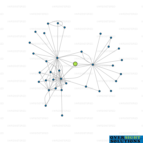 Network diagram for GREENSTONE FUND LTD