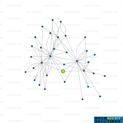 Network diagram for 45 HOPKINS LTD