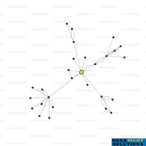Network diagram for CONNECT TECHNOLOGIES NZ LTD