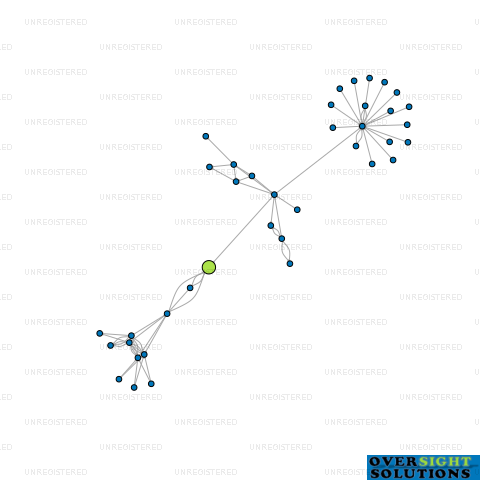 Network diagram for AKURA INVESTMENTS LTD