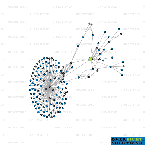 Network diagram for AKASHIC FIELDS LTD