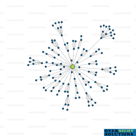 Network diagram for TRADEZONE INDUSTRIAL GROUP LTD