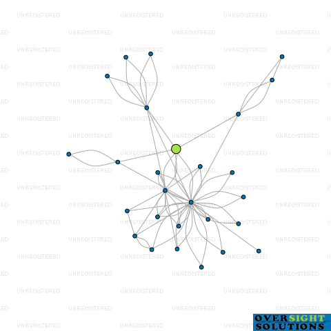 Network diagram for SHABER MANAGEMENT LTD