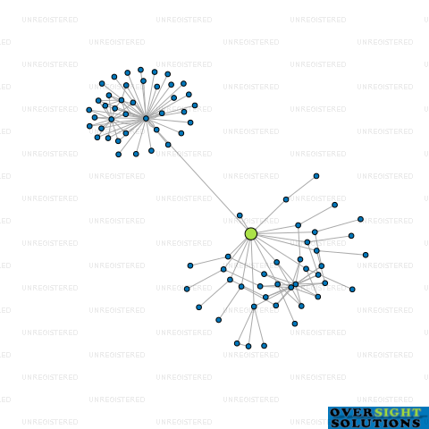 Network diagram for WHYTE INVESTMENTS LTD