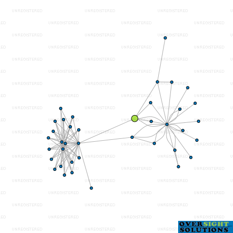Network diagram for LOVENS UNITED DEVELOPMENT LTD