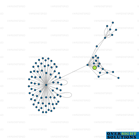 Network diagram for MONTANA WINES LTD