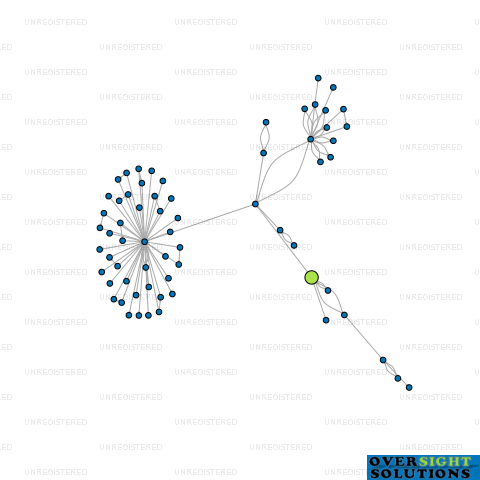 Network diagram for TRULI BLUE LTD